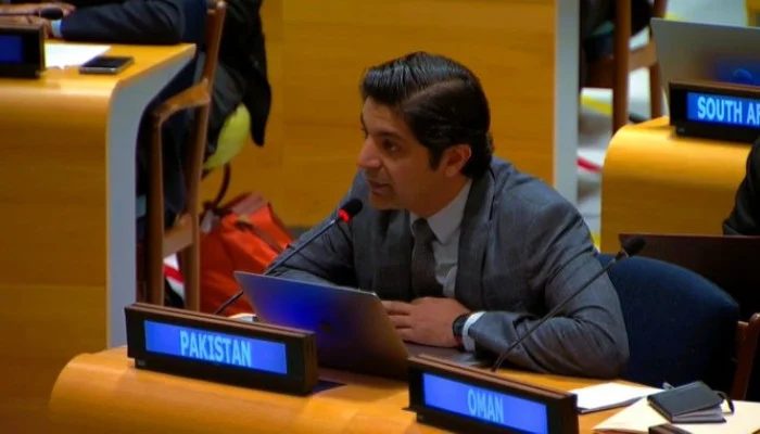 Pakistan Tells UN India Sponsoring Terrorism Through Proxies In Afghanistan