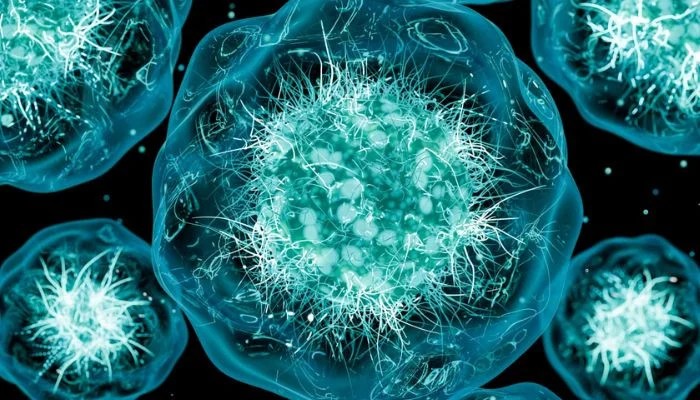 Worst Cyclospora Outbreak in US History Officially Ends After Sickening 12,833 Across 21 States