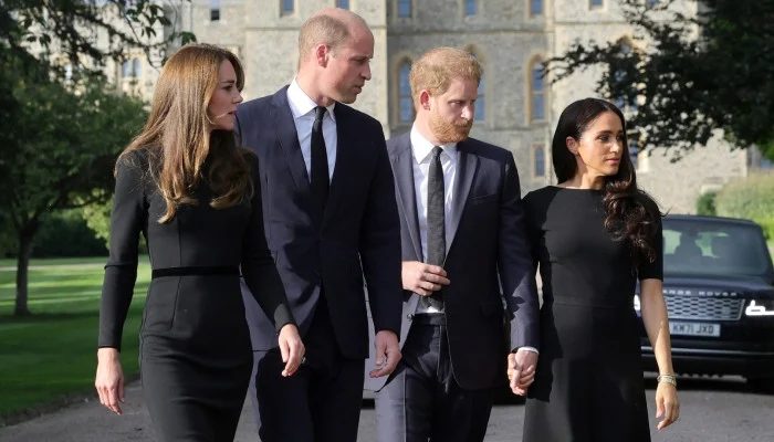 Prince Harry, Meghan admit 'taking things too far' with royal family