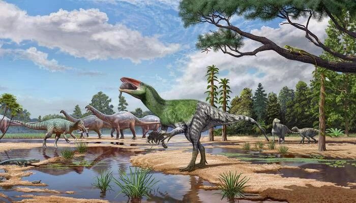 Isle Of Wight Fossil Sheds Light On Enigmatic Meat-Eating Dinosaurs