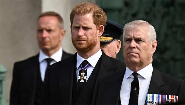 Harry Forgiven, Andrew Forgotten: Royals Accused of Double Standard