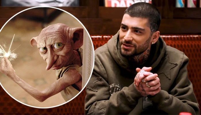 Zayn Malik Receives Adorable Harry Potter-Themed Gift From Fan